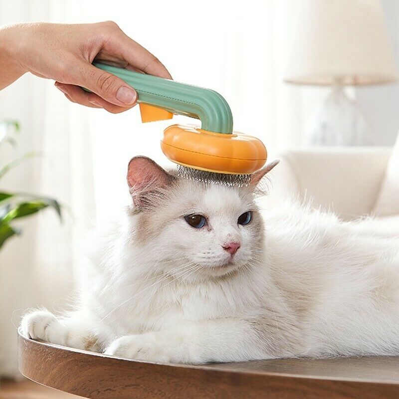 Pet Pumpkin Brush – Self-Cleaning Slicker Brush for Dogs, Cats, and Rabbits