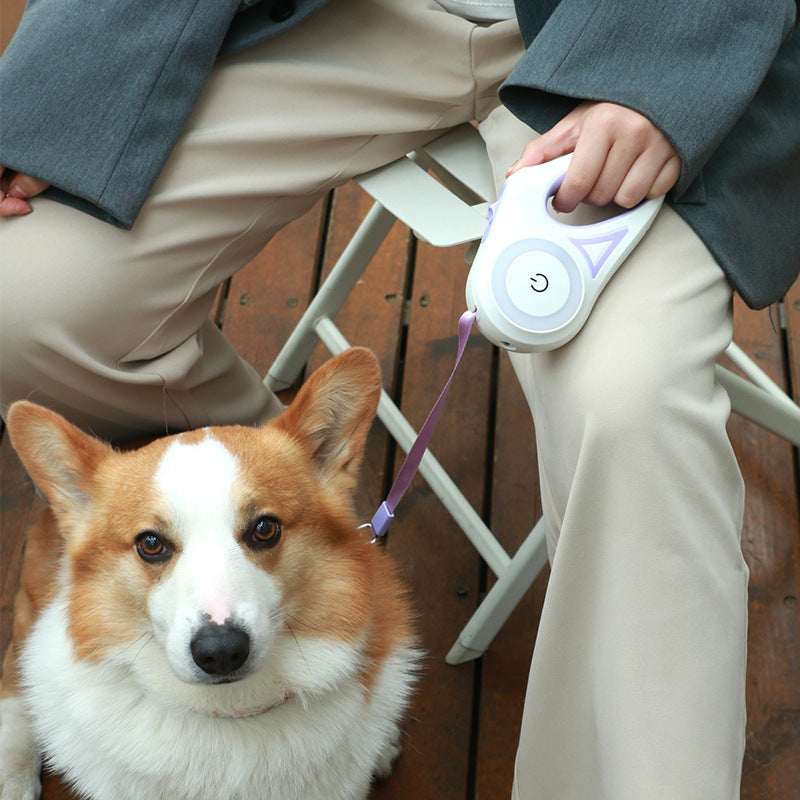 Automatic Retractable Dog Leash & Collar Set – For Small & Medium Dogs